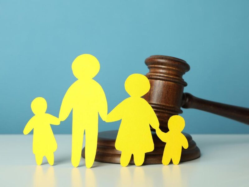 Custody Of The Minor Children lawyers in South Africa Custody Of The Minor Children lawyers in South Africa