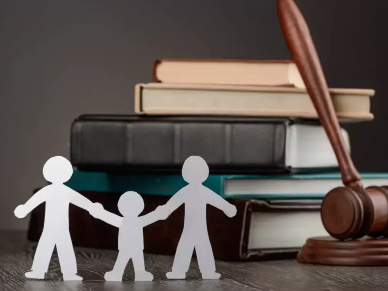 Maintenance Of The Children lawyers in South Africa Maintenance Of The Children lawyers in South Africa