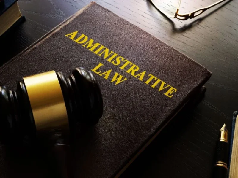 What Are The Remedies To An Administrative Action in Sandton